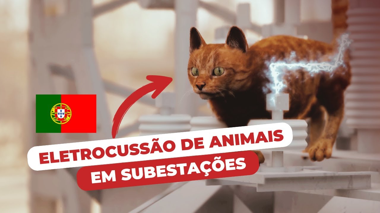 Eletrocussão de animais em subestação